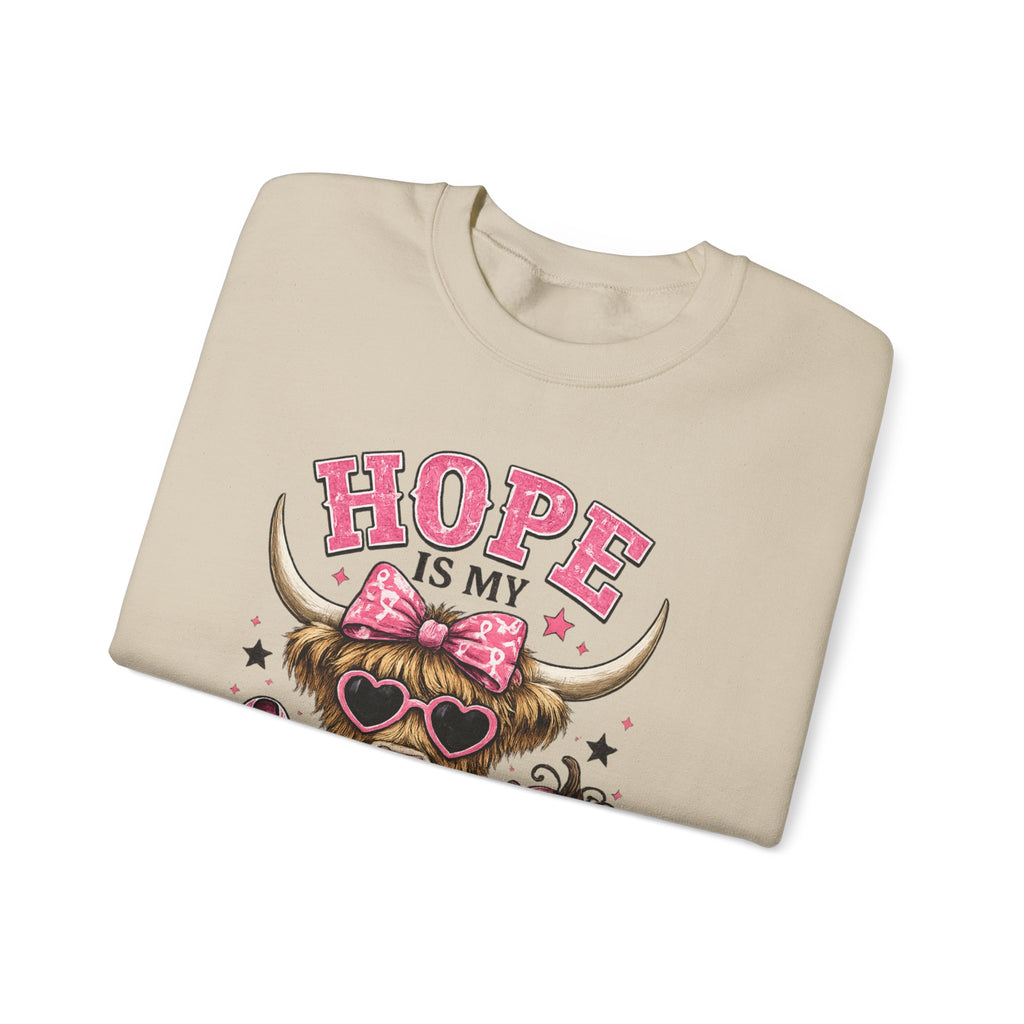 Hope Is My Favorite Team Sweatshirt