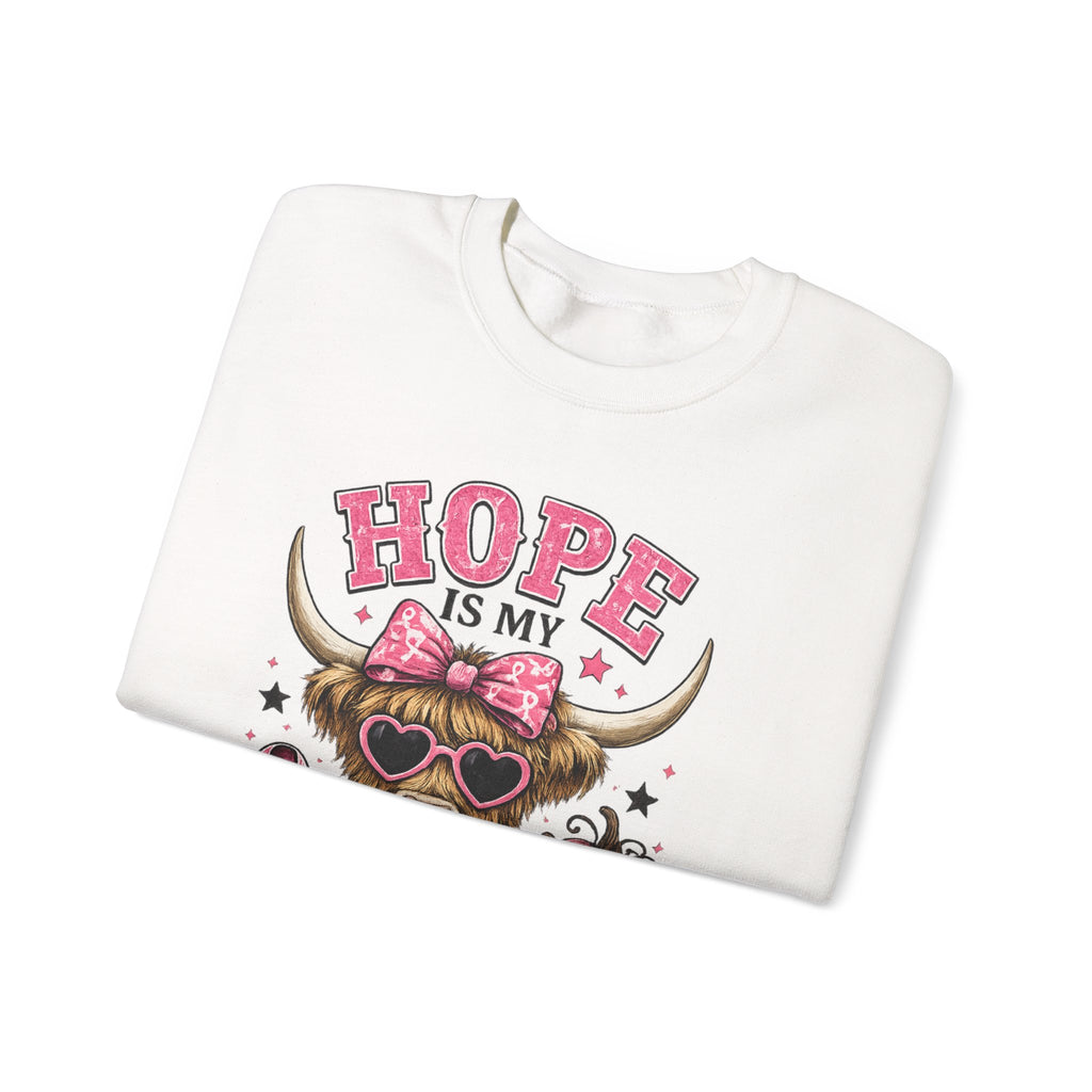 Hope Is My Favorite Team Sweatshirt