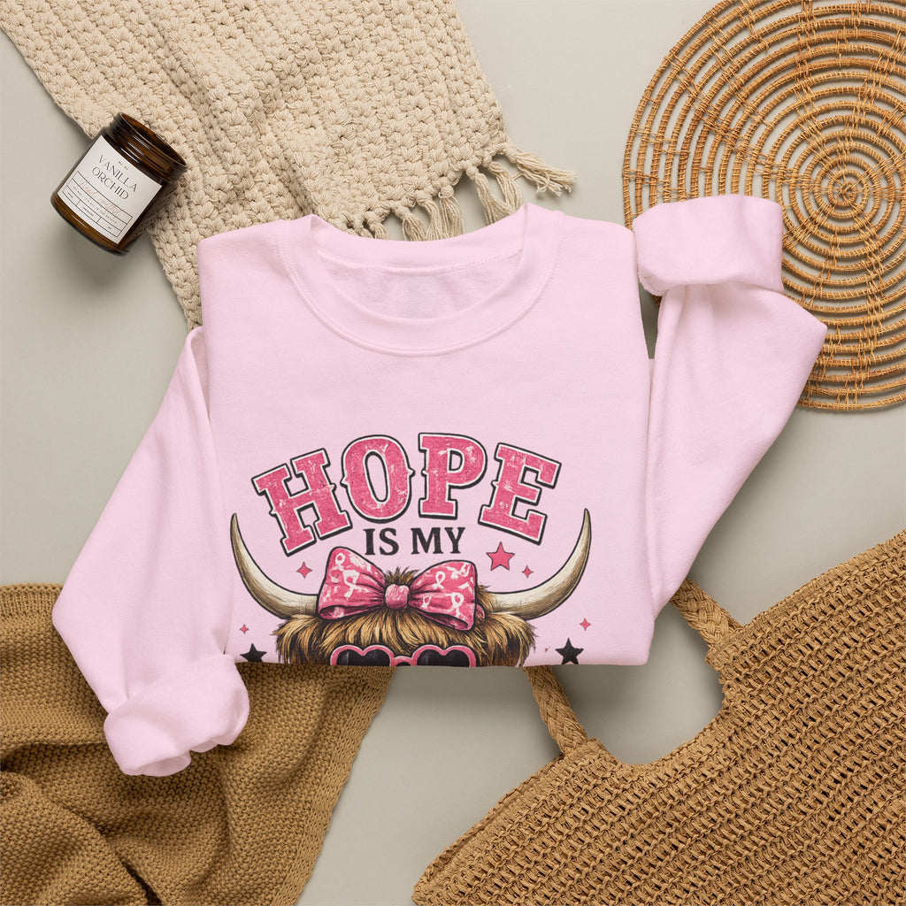 Hope Is My Favorite Team Sweatshirt