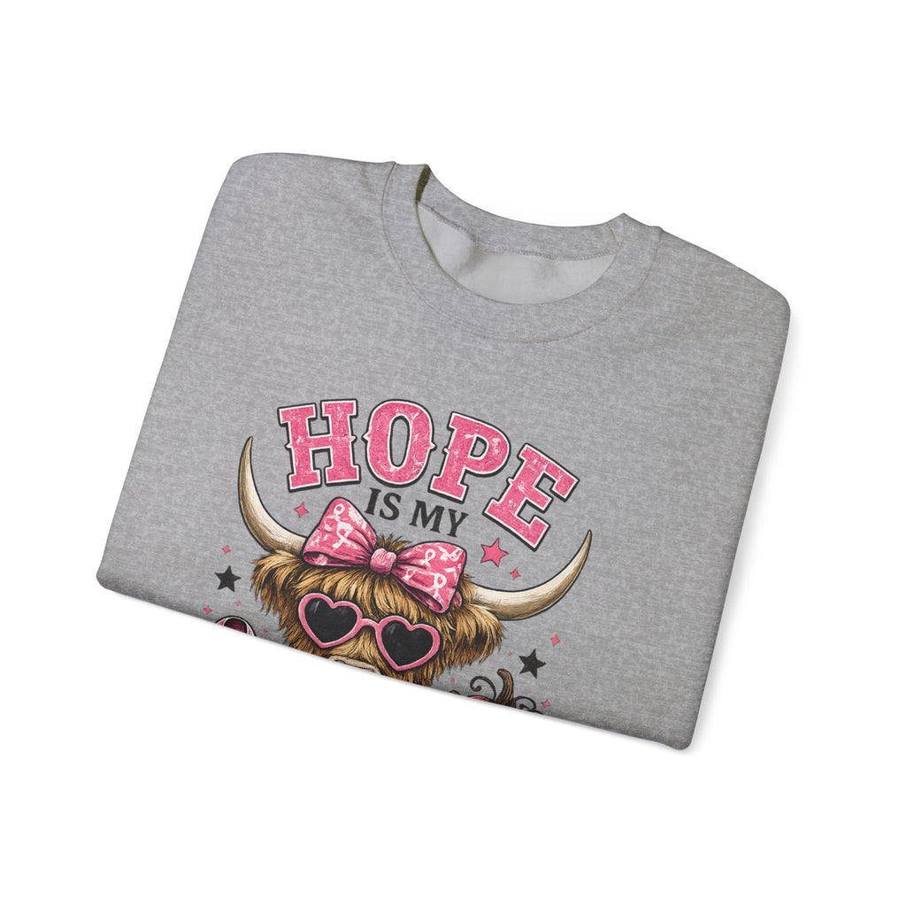 Hope Is My Favorite Team Sweatshirt