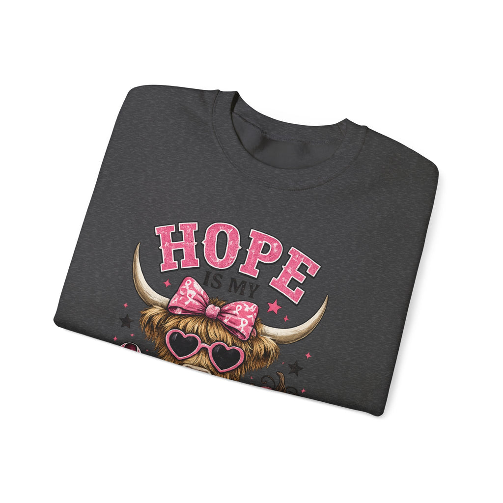 Hope Is My Favorite Team Sweatshirt
