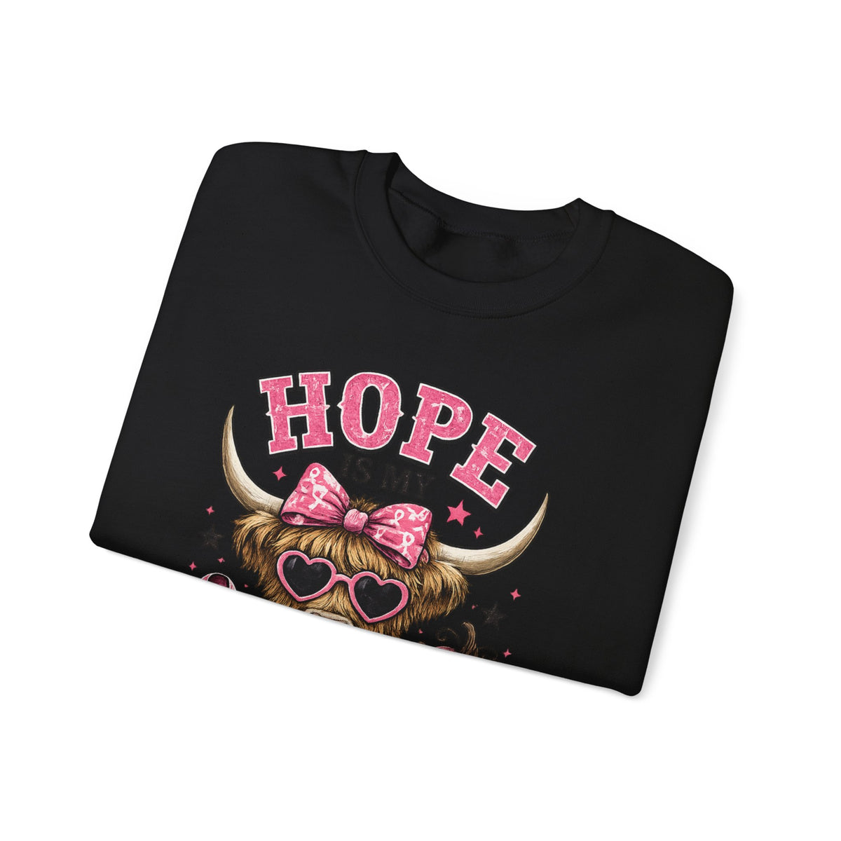 Hope Is My Favorite Team Sweatshirt