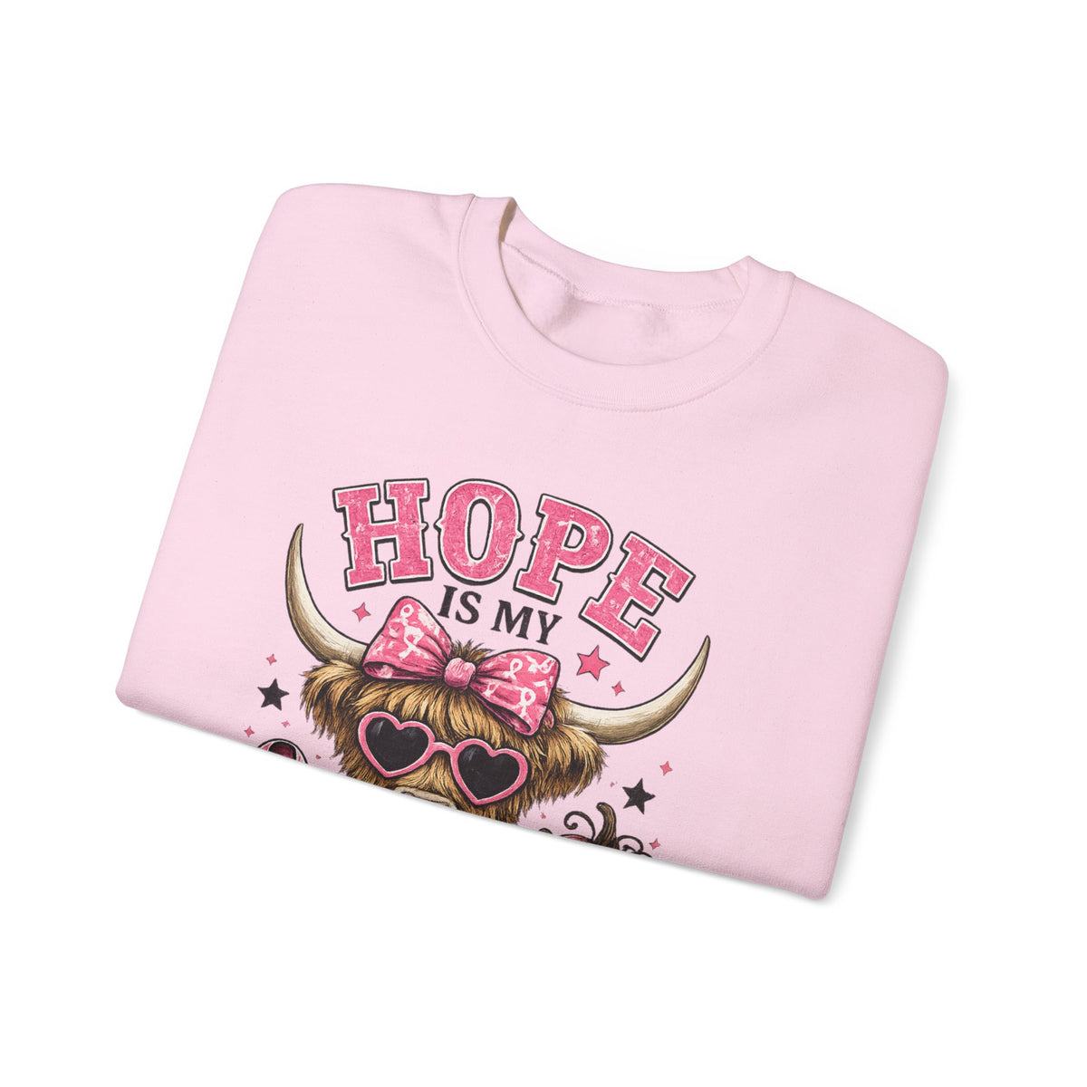 Hope Is My Favorite Team Sweatshirt